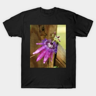 Lavender Lady Passiflora T-Shirt